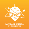 Lactic Acid Bacteria in Beer by PCR - Beer Brewing and Beer Testing Kit