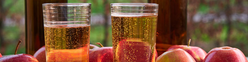 Apple cider in glasses