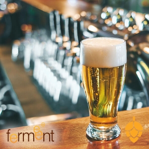 Glass of beer for professional beer brewing equipment and testing