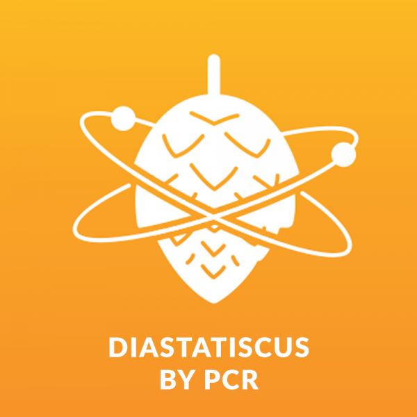 Diastatiscus by PCR