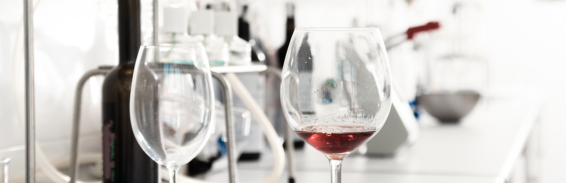 Wine glass in lab Wine glass in lab