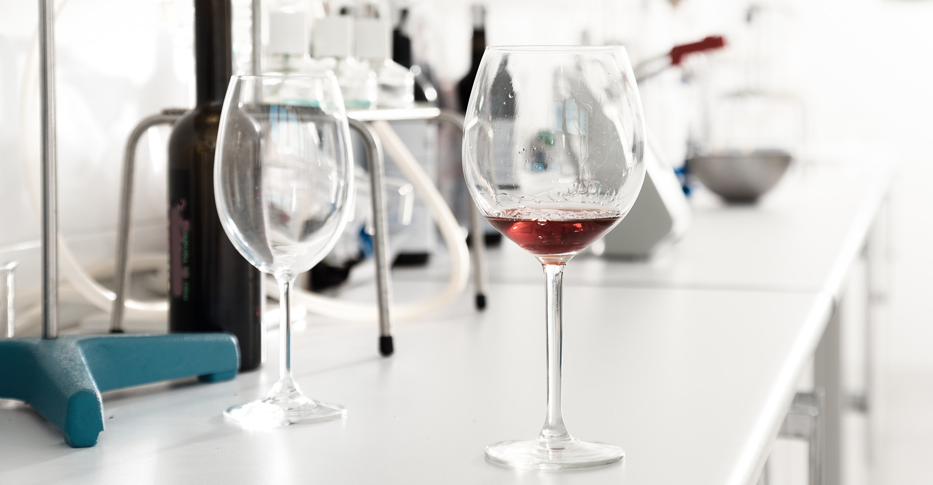 Wine glass in lab | Brewlab